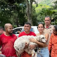 Anitta chora ao reencontrar cachorro que sumiu no Natal; pet se escondeu embaixo da nova mansão por medo dos fogos