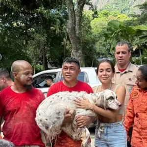 Anitta chora ao reencontrar cachorro que sumiu no Natal; pet se escondeu embaixo da nova mansão por medo dos fogos