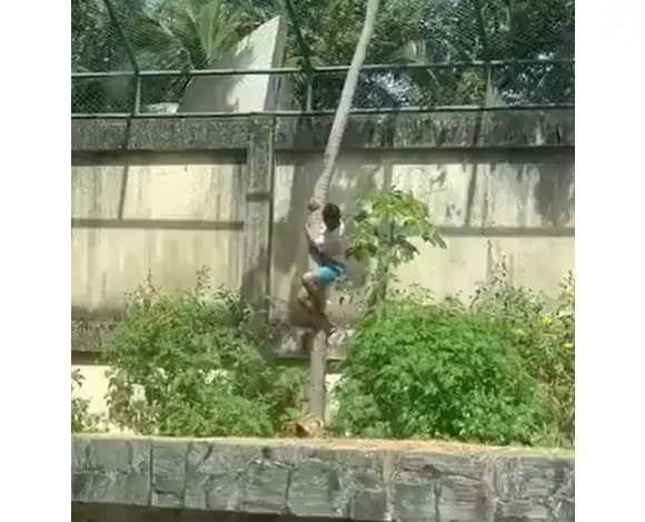 Parque Arruda Câmara reforça que barreiras de segurança excediam exigências do Ibama