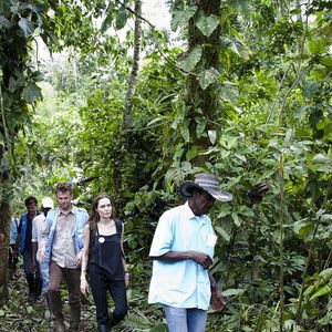 O Brasil está entre os destinos considerados por Angelina Jolie e pode receber a primeira expansão internacional do Atelier Jolie, casa criativa fundada pela atriz em Nova York, segundo declaração concedida pela artista