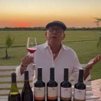 Com 108 hectares e localizada em cidade gaúcha com menos de 11 mil habitantes: Galvão Bueno, aos 76 anos, é dono de vinícola charmosa com casa de estilo rústico às margens da BR-293, na 'Califórnia brasileira'