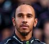 Dieta vegana de Lewis Hamilton é muito saudável e conta com opções de alimentação com vegetais e frutas