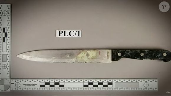 Assassino do ator de 'Harry Potter e o Enigma do Príncipe' Robert Knox, Karl Bishop usou duas armas para atacar artista e outras quatro pessoas