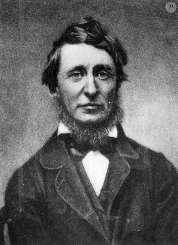 É de Henry David Thoreau a seguinte frase: "Não é o que você olha que importa, mas o que você vê"