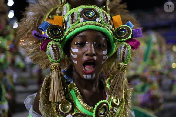 Torcedores vibram com mais um título da Beija-Flor no Carnaval carioca