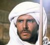 Astro de Star Wars, Harrison Ford já teve a mesma profissão de José, pai de Jesus