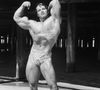 Na juventude, Arnold Schwarzenegger se tornou um fisiculturista e já impressionava por seu corpo