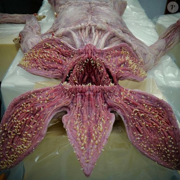 Despedida histórica: episódio final de ‘Stranger Things’ chega em 31 de dezembro, encerrando uma das séries mais marcantes do streaming