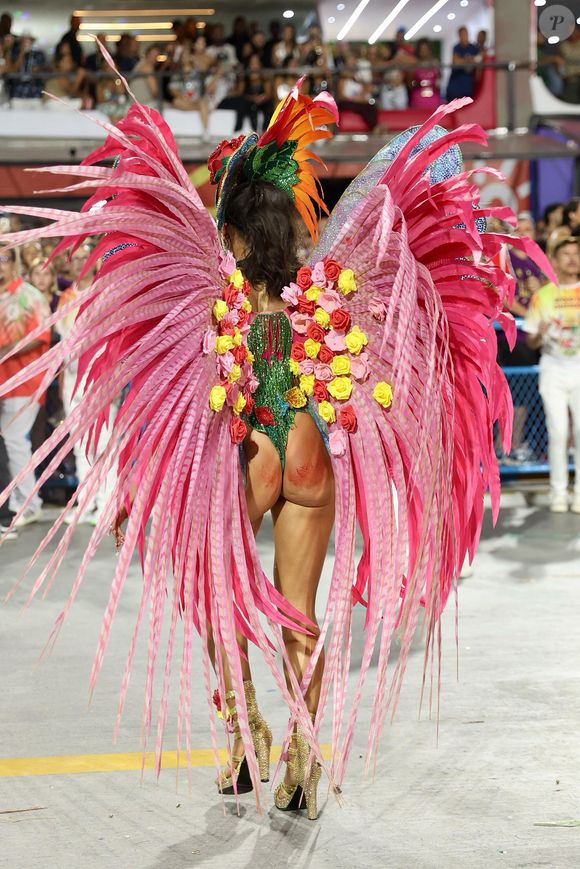 Alane Dias deixou claro que não seria um machucado que iria parar seu desfile na Sapucaí.