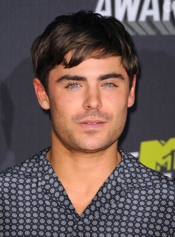 Zac sofreu um grave acidente doméstico em 2013, quando escorregou e atingiu o queixo em uma fonte de mármore.