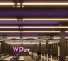 Virgínia Fonseca anunciou uma novidade para as mulheres matriculadas na WeGym, sua rede de academias que deve ser inaugurada em breve