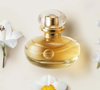 Perfume Lily Le Parfum, de O Boticário, mostra ao consumidor um mix de frutas cítricas, além da potência floral, o doce da baunilha e o amadeirado de almíscar.