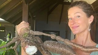 Alteram a microbiota intestinal e abaixam imunidade: esses alimentos foram banidos dieta de Gisele Bündchen, mas 52% dos brasileiros consomem, revela estudo