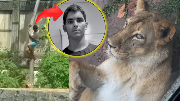 Corpo de homem morto por leoa é sepultado, mas passado conturbado do jovem levanta novas dúvidas sobre a tragédia