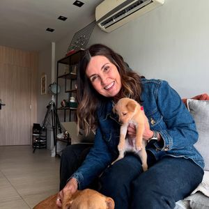 Interagir e fazer carinho em cães ajuda a regular as emoções e funciona como uma âncora psicológica em dias difíceis.