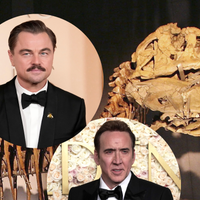 276 mil dólares em um crânio de dinossauro: a compra bizarra de Nicolas Cage que superou Leonardo DiCaprio em leilão e virou escândalo