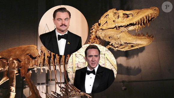 276 mil dólares em um crânio de dinossauro: a compra bizarra de Nicolas Cage que superou Leonardo DiCaprio em leilão e virou escândalo
