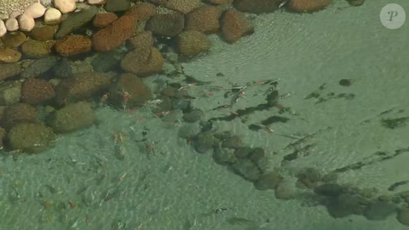 Resort do traficante Peixão tinha até lago privado para a criação de carpas