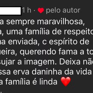 Perfil de Angélica curtiu o comentário da internauta