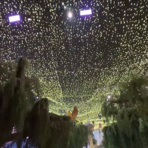 Mais de 300 mil pontos de luz foram usados no teto da decoração da festa de 4 anos de Maria Flor, segundo a decoradora Tana Lobo. O projeto, inspirado no filme 'Enrolados', também incluiu uma torre cenográfica de Rapunzel e lanternas suspensas que remetem a uma das cenas mais conhecidas da animação