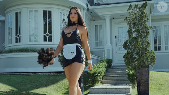 Ellen contou que faz sucesso — e fatura em média R$ 70 mil por mês — oferecendo um serviço de faxina diferenciada, onde aparece na casa dos clientes usando trajes sensuais, como lingerie, fantasias ou roupas provocantes, enquanto realiza as tarefas domésticas.