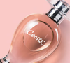Considerado por muitas consumidoras um perfume com verdadeiro "cheiro de rica", Cecita, de O Boticário, combina notas de rosa, jasmim de Grasse, sândalo e baunilha em uma composição envolvente e refinada