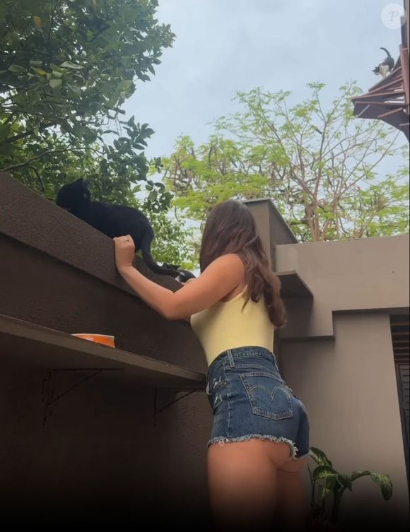 A mansão de Paolla Oliveira conta com uma escadinha no telhado feita especialmente para os gatos