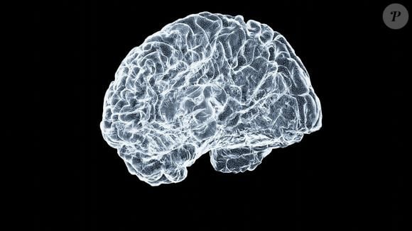 Na avaliação da psicóloga, a popularização das novelas com frutas contribui para um processo chamado Brain Rot, ou deterioração cerebral em tradução livre