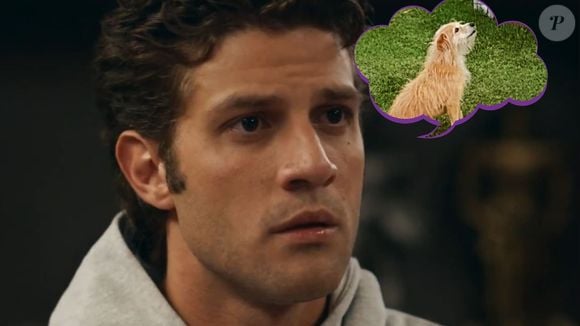 Chay Suede vira meme por Pedro, seu personagem, não conhecer ninguém na novela 'Quem Ama Cuida'