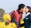 'Se a Vida Te Der Tangerinas...': uma poetisa sonhadora e um homem reservado vivem um amor que atravessa gerações na Ilha de Jeju