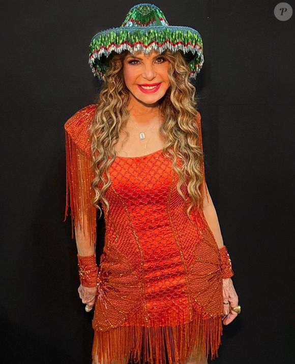 Antes mais natural, fãs notaram que Elba Ramalho vinha aparecendo mais 'esticada'