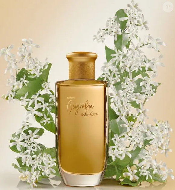 Nas notas de topo do Biografia Assinatura de Natura aparecem mandarina, amêndoa e pera. Já o corpo traz jasmim, rosa tuberosa, baunilha e cumaru, enquanto o fundo combina patchouli, âmbar, musk e priprioca