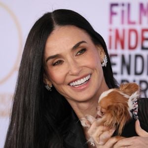 Pilaf, cadela de Demi Moore, já marcou presença em um ensaio fotográfico da 'The Dogue Magazine'.
