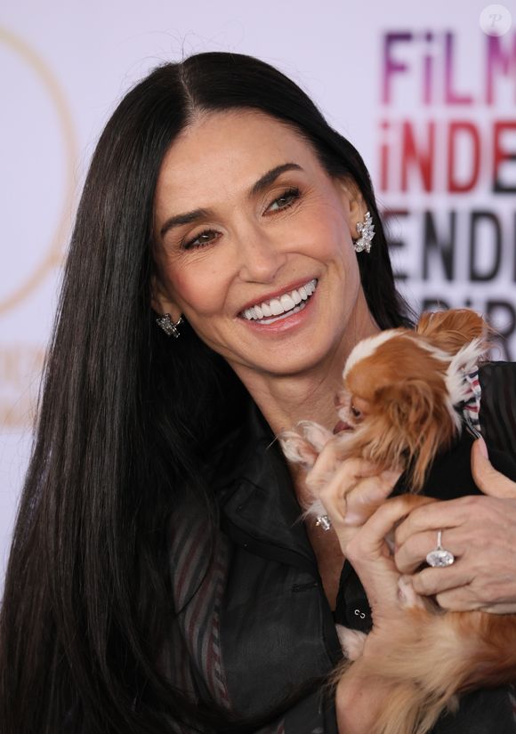 Pilaf, cadela de Demi Moore, já marcou presença em um ensaio fotográfico da 'The Dogue Magazine'.