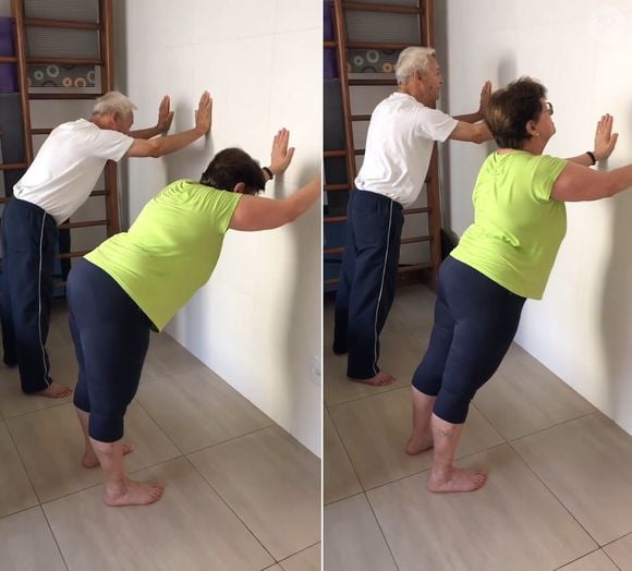 Exercício 4: Cão de cabeça para baixo em cobra na parede