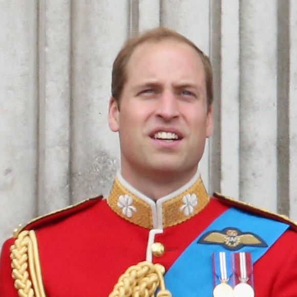 William também tem formação universitária. Em 2001, ingressou na University of St Andrews inicialmente no curso de História da Arte. Mais tarde, decidiu mudar para Geografia, área em que se formou oficialmente em 2005.