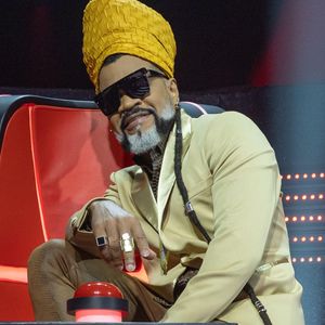 Carlinhos Brown foi o primeiro músico a receber o título de Embaixador Ibero-Americano para a Cultura, de Embaixador da Justiça Restaurativa da Bahia e também a integrar a Academia do Oscar.
