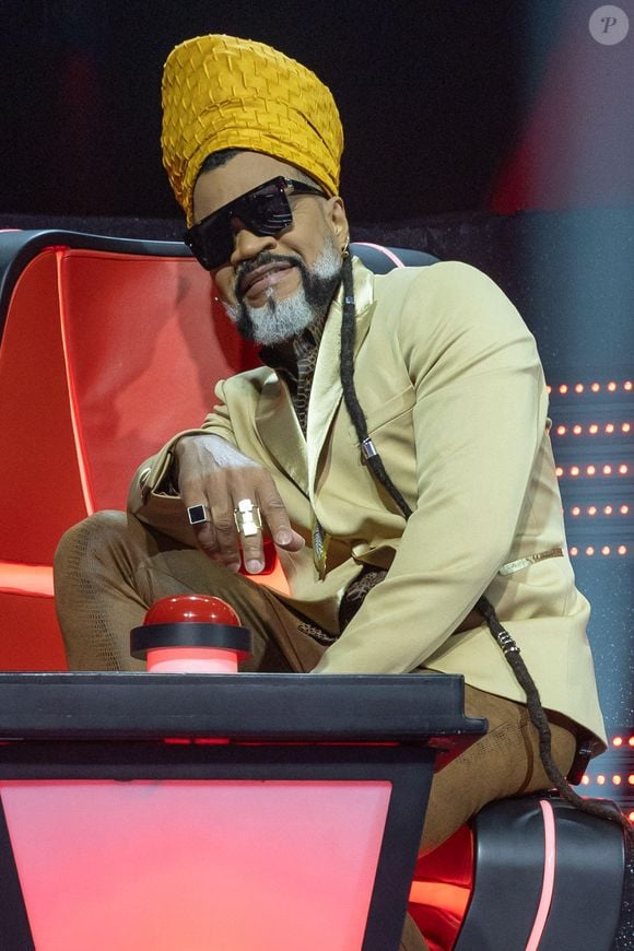 Carlinhos Brown foi o primeiro músico a receber o título de Embaixador Ibero-Americano para a Cultura, de Embaixador da Justiça Restaurativa da Bahia e também a integrar a Academia do Oscar.