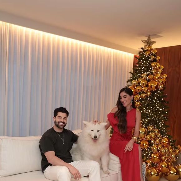 Discreta, mas nem tanto! Assim foi uma das árvores de Natal de Alok, que apostou em bolas douradas que a contornaram e deixaram a foto belíssima!