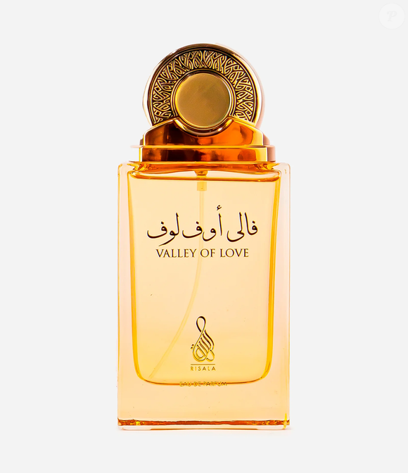O Valley Of Love, da Risala, é um perfume árabe unissex de 100ml encontrado na Renner por R$ 179,90, com proposta de sofisticação e uma composição que combina groselha-preta, açafrão, rosa, patchouli e âmbar