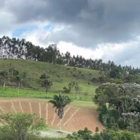 Marcos Palmeira é proprietário de uma fazenda em Teresópolis, no Rio de Janeiro. O local, de mais de 200 hectares, é utilizado para produção de diversos produtos