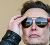 Quase ninguém sabe, mas Elon Musk tem uma sócia brasileira que se afastou da web após ataques: 'Gente que deseja nossa morte e falência'
