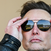 Quase ninguém sabe, mas Elon Musk tem uma sócia brasileira que se afastou da web após ataques: 'Gente que deseja nossa morte e falência'