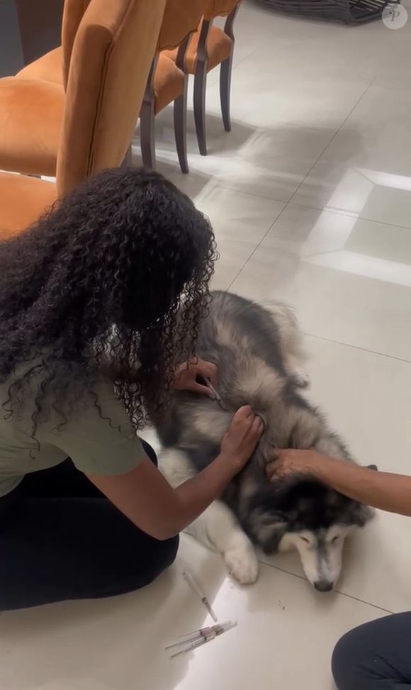 No Instagram, a irmã de Gracyanne Barbosa, Giovanna Jacobina, aparece vacinando a  cachorrinha Angel