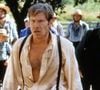 O ator, estrela de filmes como 'A Testemunha', se sustentava no início de sua carreira como carpinteiro; profissão que possibilitou que ele trabalhasse e viesse a conhecer cineastas como George Lucas e Francis Ford Coppola