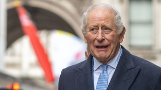 Fim do mistério: estado de saúde do Rei Charles III vem à tona, com detalhes do tratamento contra o câncer