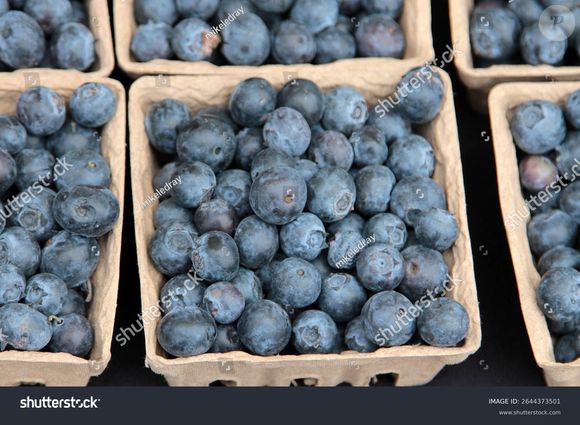 O consumo dos mirtilos também está ligado à melhora da memória, fortalecimento do sistema imunológico e à saúde cardiovascular