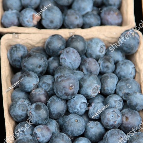 O consumo dos mirtilos também está ligado à melhora da memória, fortalecimento do sistema imunológico e à saúde cardiovascular