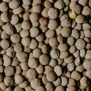 A lentilha é um dos principais alimentos para quem deseja um Ano Novo de muita prosperidade e felicidade