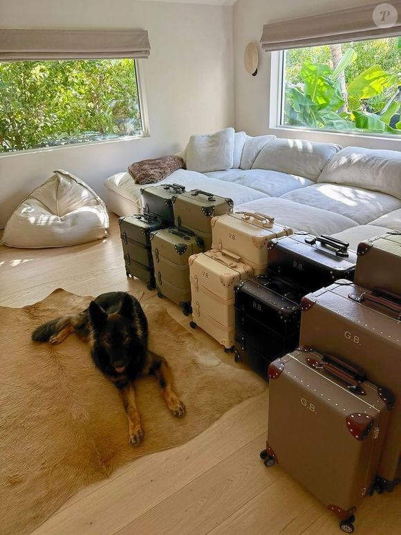 Gisele Bündchen mostrou os pets da família em raras fotos da intimidade